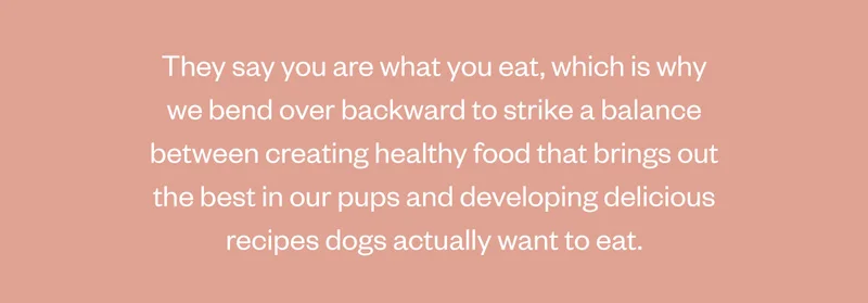 They say you are what you eat, which is why we bend over backward to strike a balance between creating healthy food that brings out the best in our pups and developing delicious recipes dogs actually want to eat.