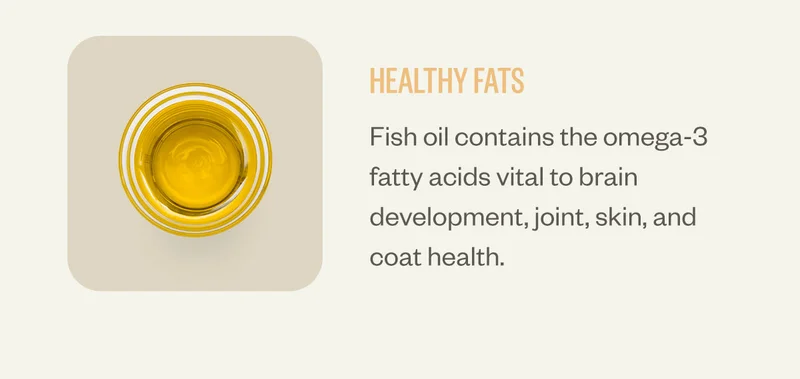 Healthy fats. Fish oil contains the omega-3 fatty acids vital to brain development, joint, skin, and coat health.