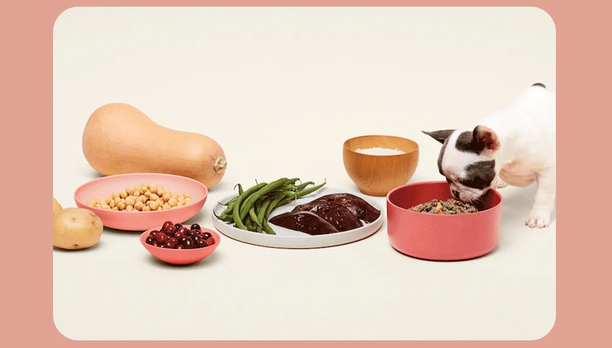 Ingredient Spotlight