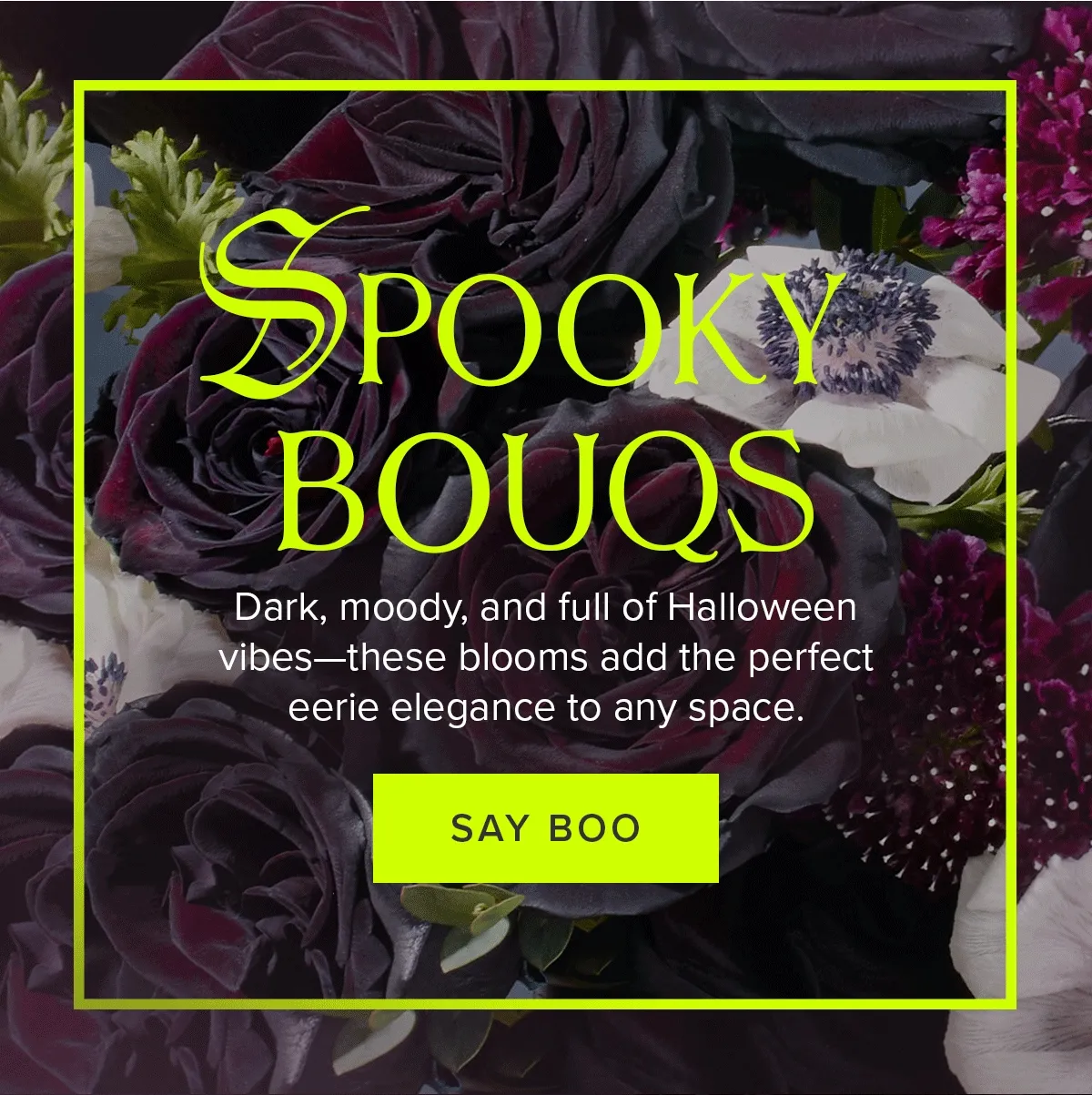 SPOOKY BOUQS: Dark, moody, and full of Halloween Rocs these blooms add the perfect eerie elegance to any space. SAY BOO