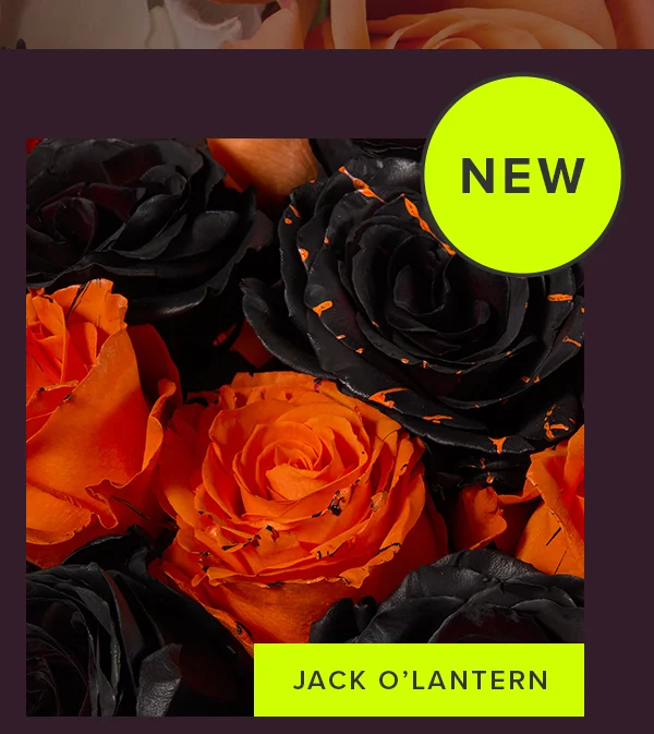 NEW JACK O'LANTERN BOUQ