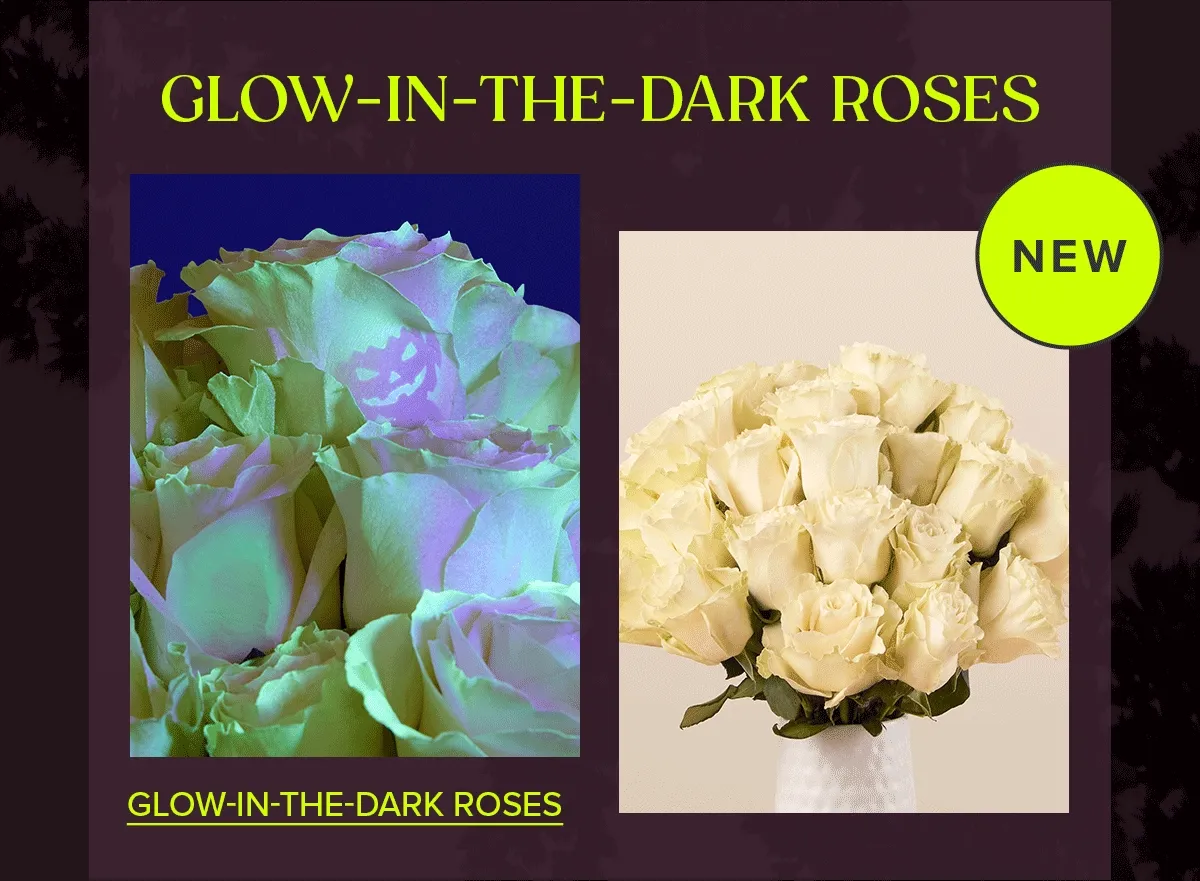 NEW GLOW-IN-THE-DARK ROSES BOUQ