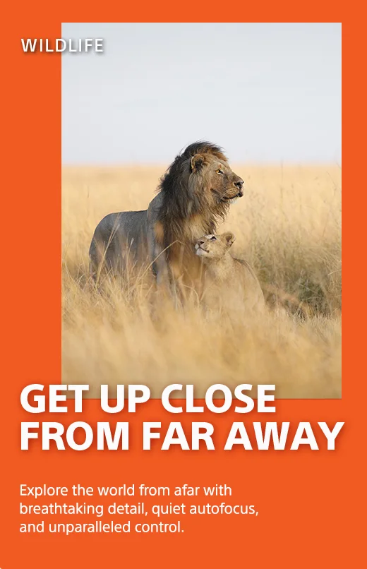 Wildlife | Get up close from far away | Explore the world from afar with breathtaking detail, quiet autofocus, and unparalleled control.