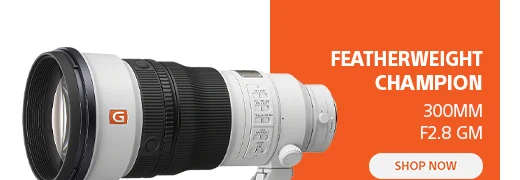FEatherweight Champion | 300mm F2.8 GM | Shop now