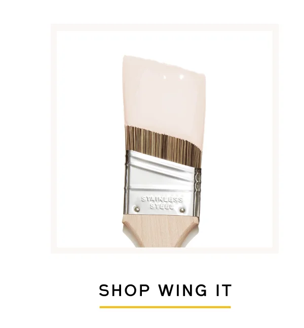 Shop Wing It