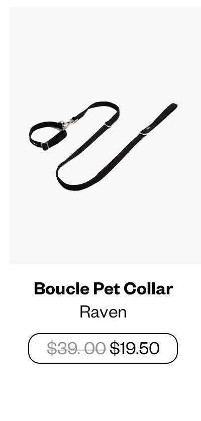 Boucle Pet Collar - Raven