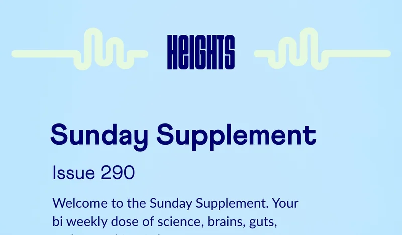 Sunday Supplement 290