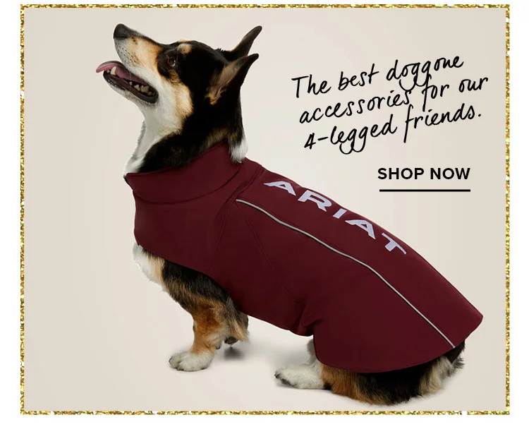 The best doggone accessories for our 4-legged friends.