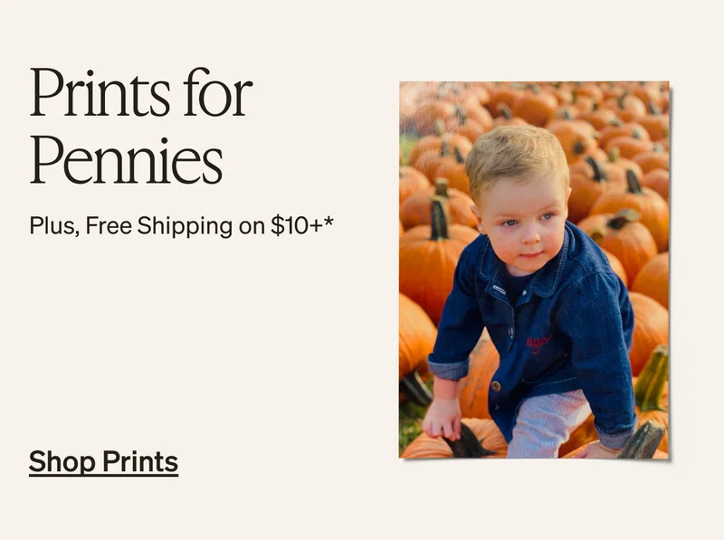 Unlimited Free Photo Book Pages, Up to 50% Off Everything, Prints for Pennies