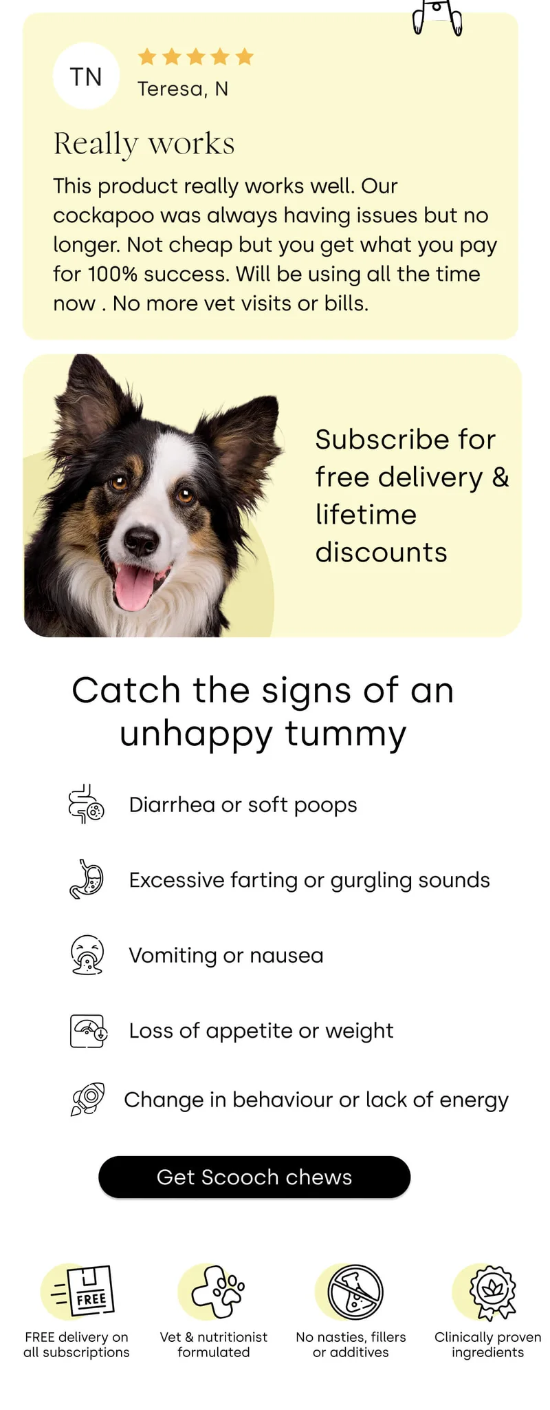 Catch the signs of an unhappy tummy - Get Scooch chews