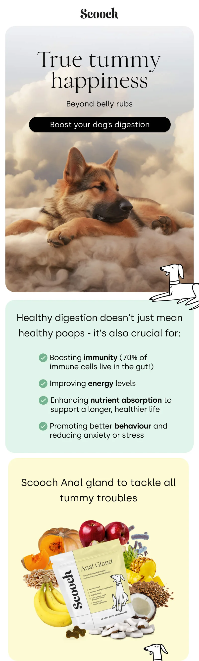 Beyond belly rubs - Boost your dog’s digestion