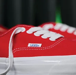 Premium Authentic Shoe