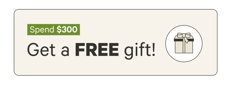 Spend $300 Get a Free Gift!