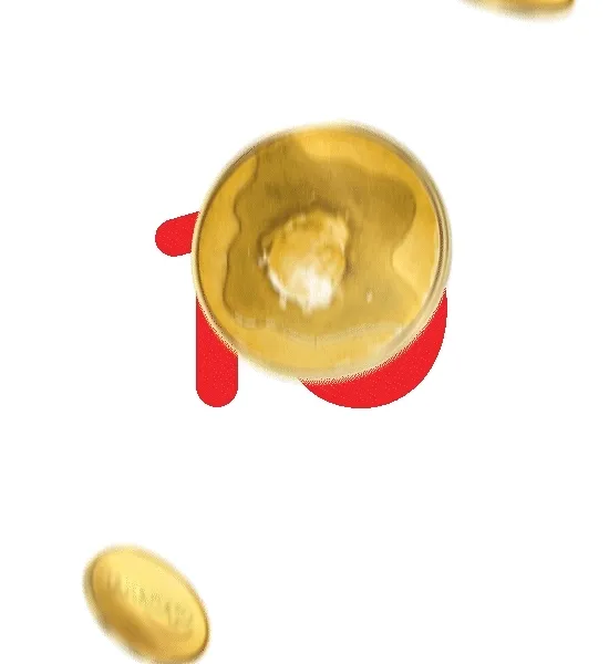 10 PanCoins