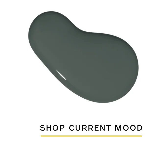 Shop Current Mood