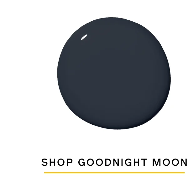 Shop Goodnight Moon