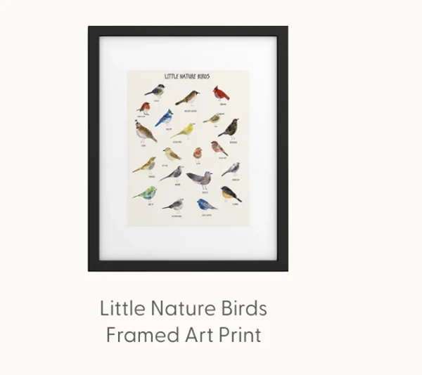 little nature birds Art Print