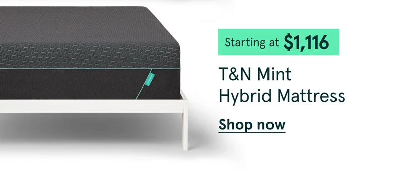 T&N Mint Hybrid Mattress | Shop Now