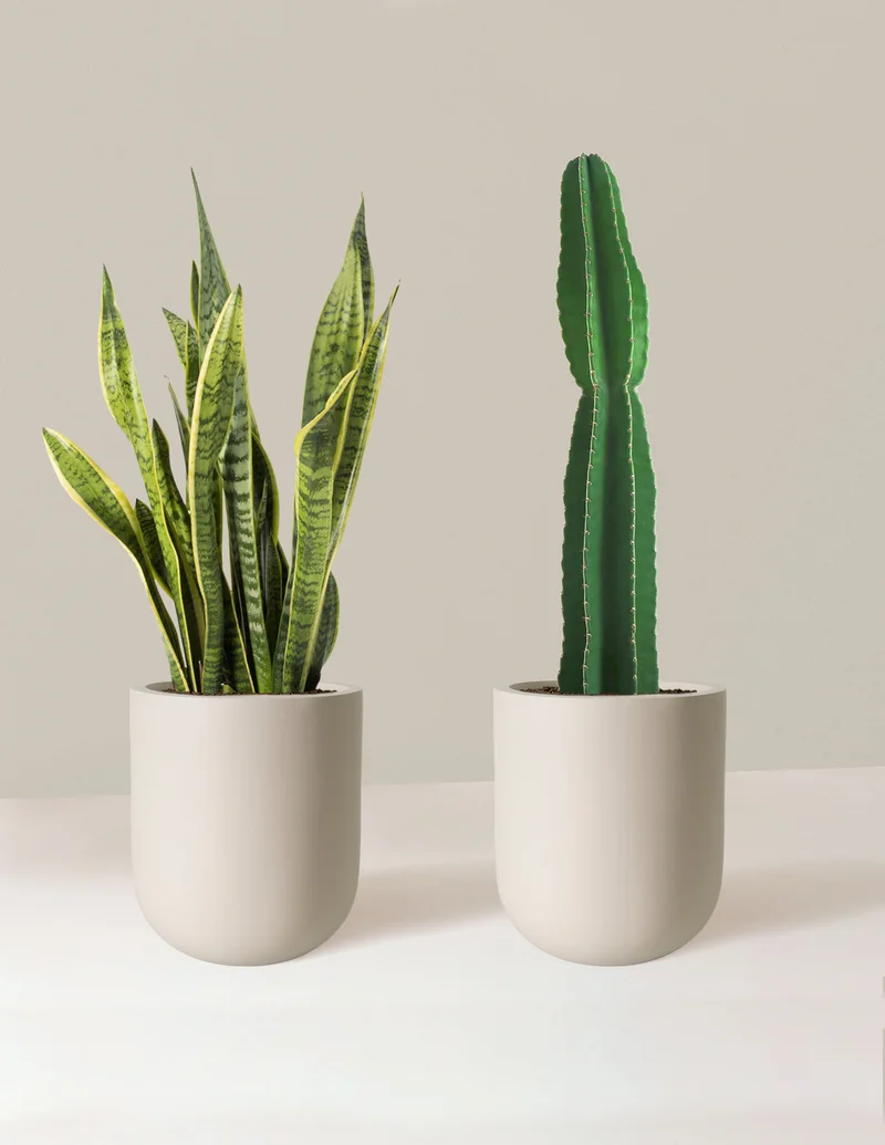Image of Large Set & Forget Duo