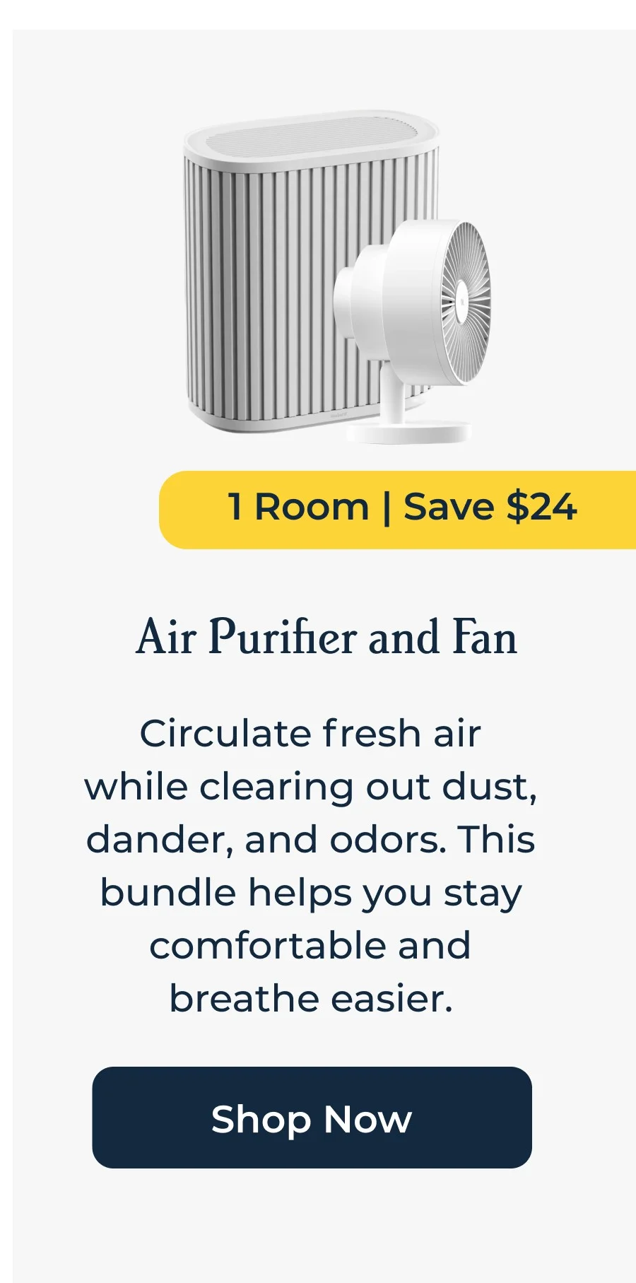 Air Purifier and Fan