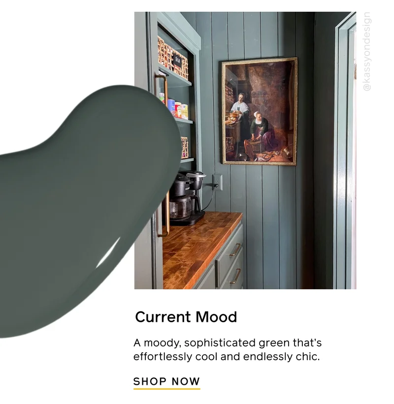 Current Mood. A moody, sophisticated green that's effortlessly cool and endlessly chic. SHOP NOW