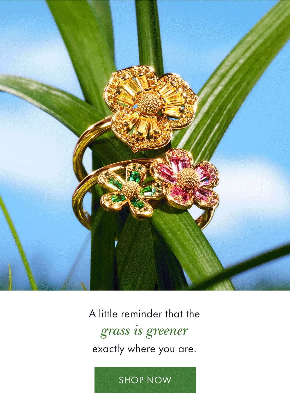 A little reminder that the grass is greener exactly where you are. SHOP NOW