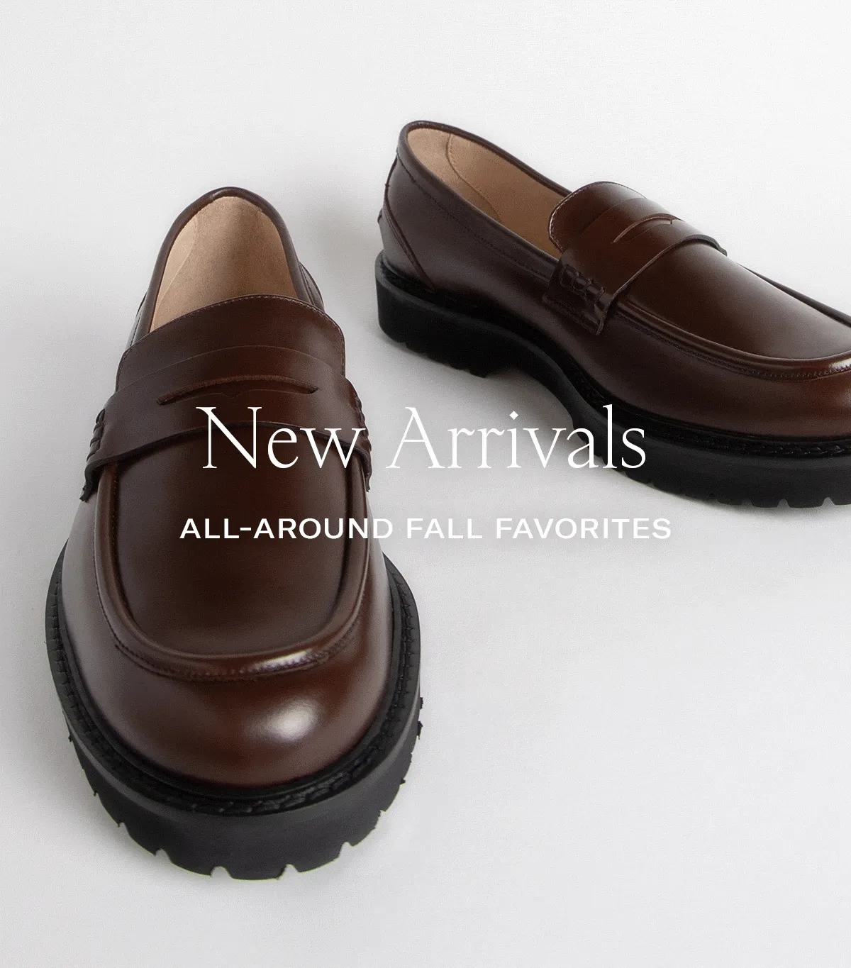 New Arrivals | All Around Fall Favorites