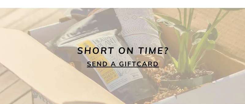 Send a giftcard