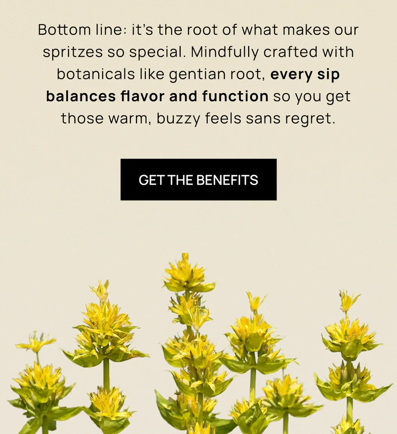 Bottom line: it’s the root of what makes our spritzes so special. Mindfully crafted with botanicals like gentian root, every sip balances flavor and function so you get those warm, buzzy feels sans regret.   CTA: Get the Benefits