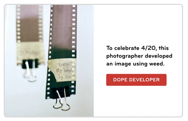dope developer