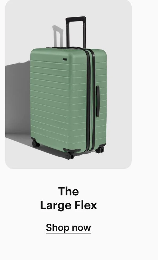 The Large Flex