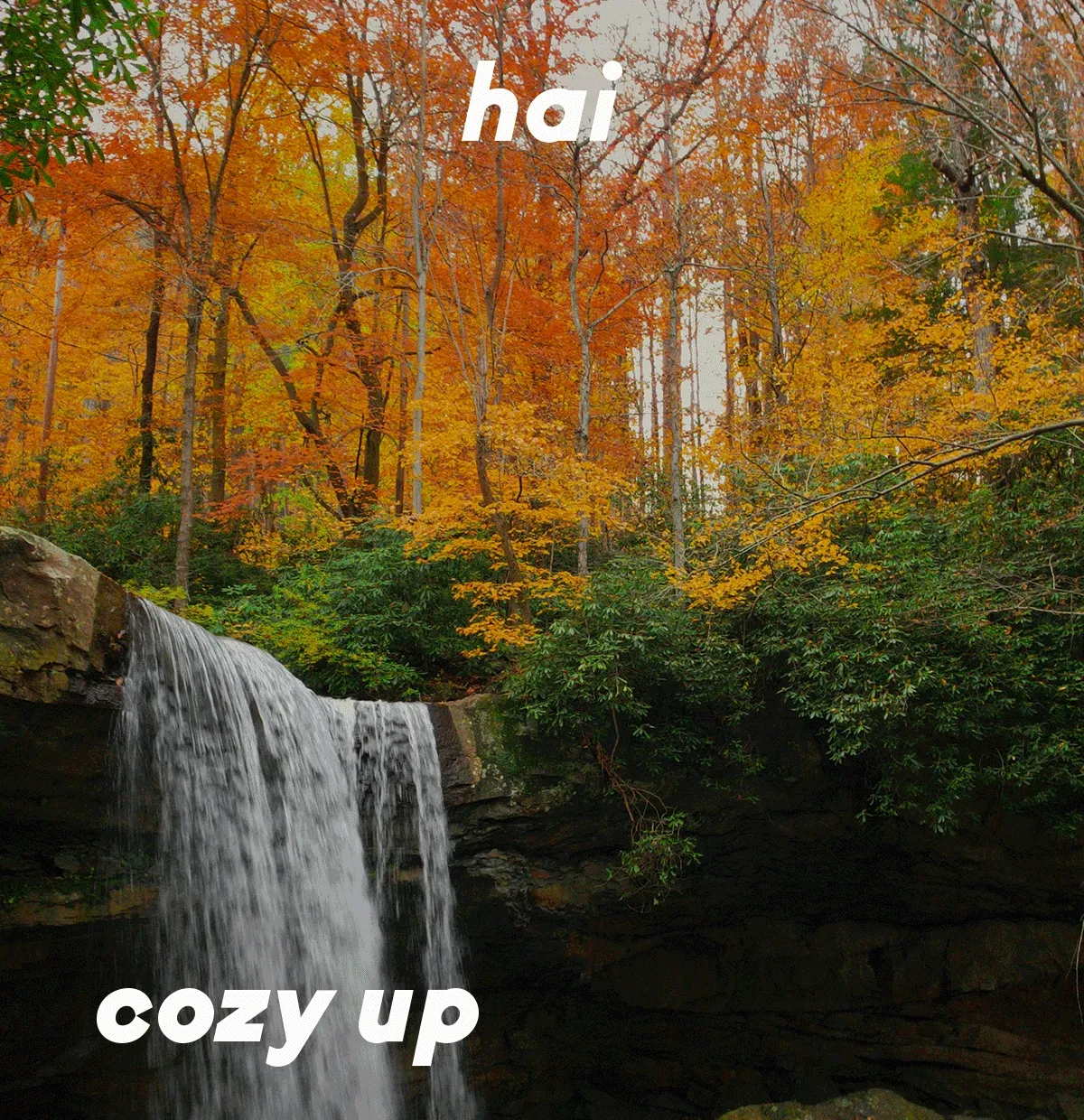 Cozy up