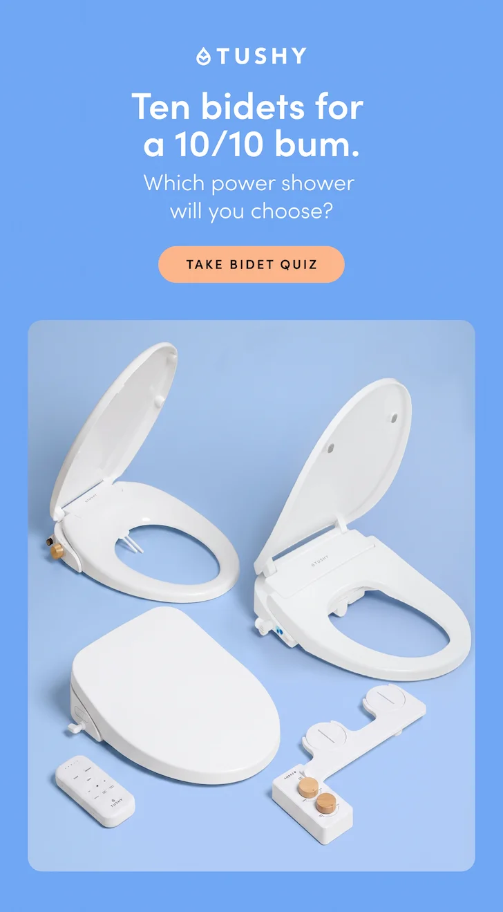 TAKE BIDET QUIZ