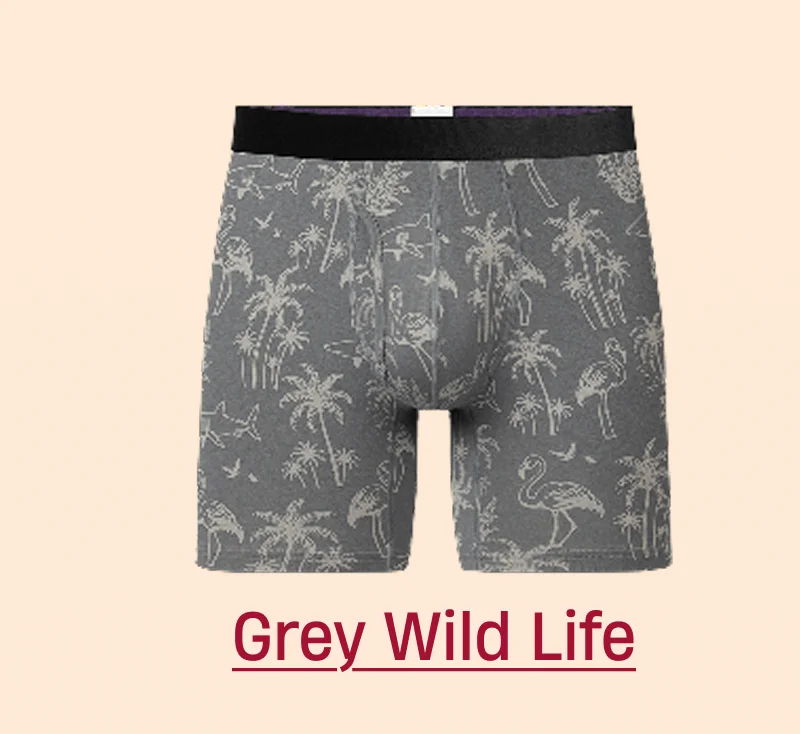 Grey Wild Life