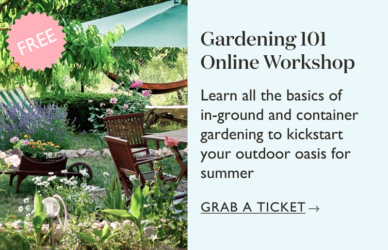 Gardening 101 Online Workshop: Learn all the basics of in-ground and container gardening to kickstart your outdoor oasis for summer. Grab a ticket!