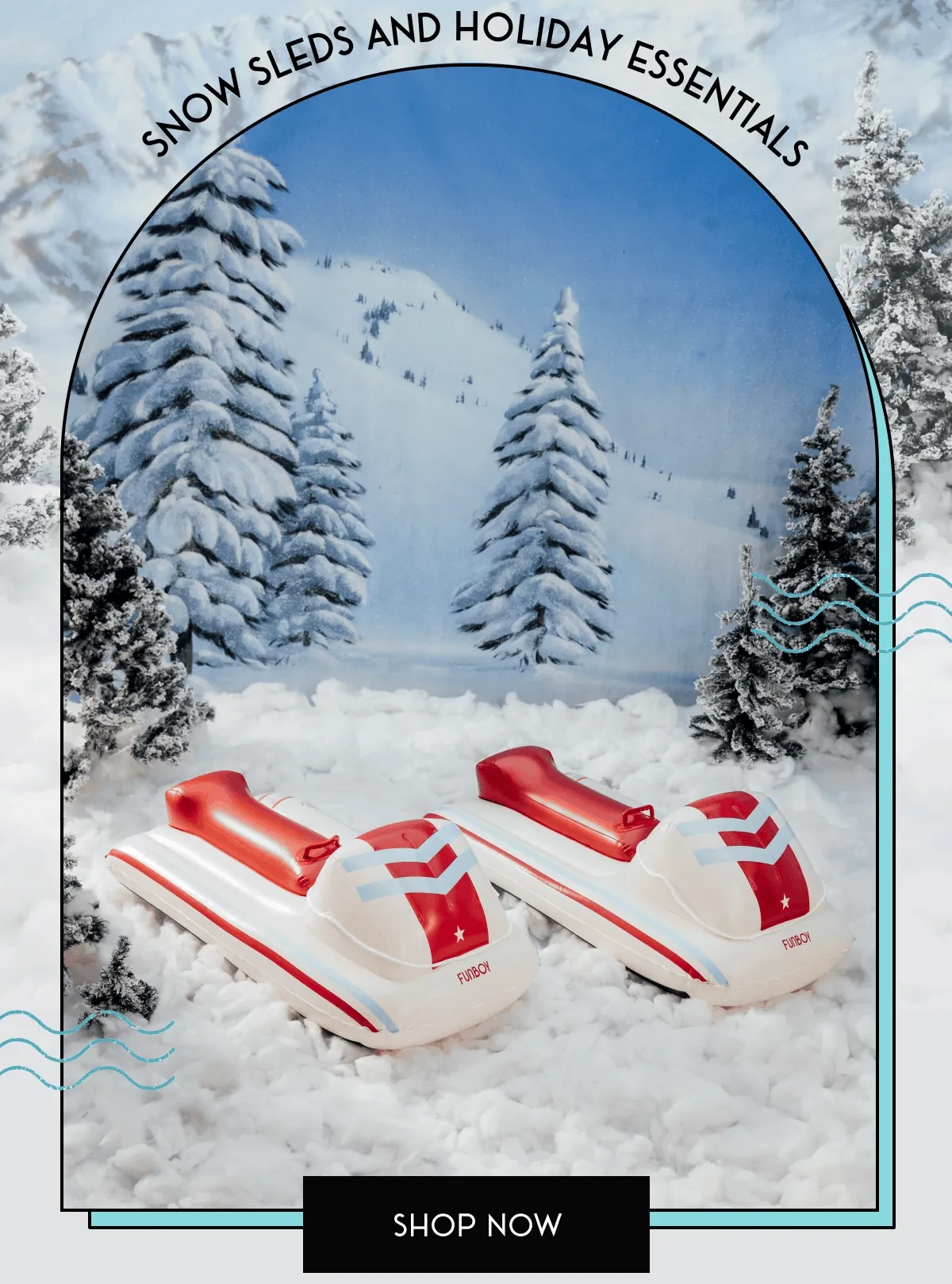 Snow sleds and holiday essentials