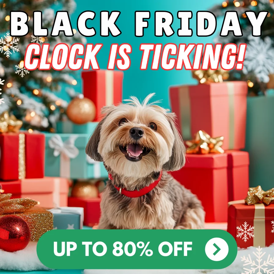 Alpha Pawlidays