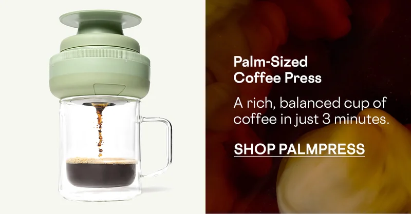 Shop Palmpress