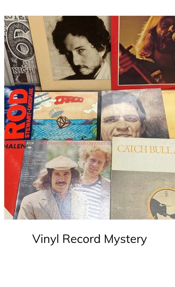 Vinyl Record Mystery Box - 7 Original LP Albums - You Pick the Genre