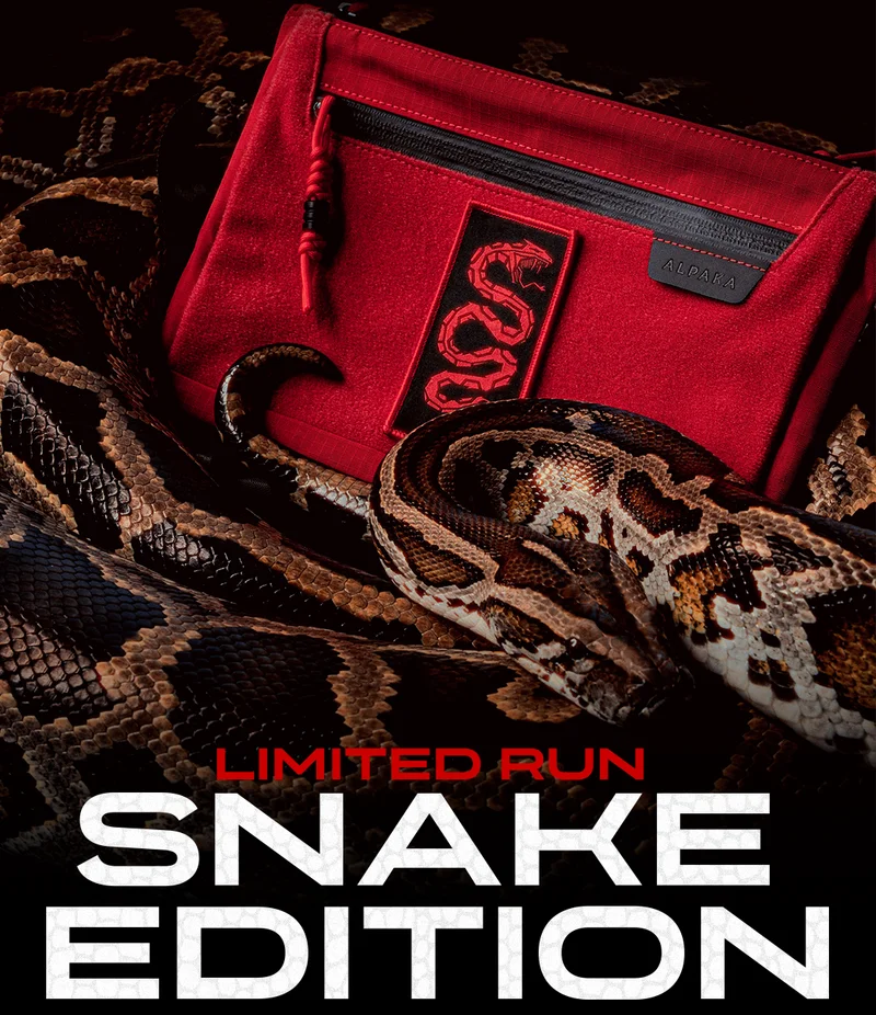 lunar new year snake edition header image