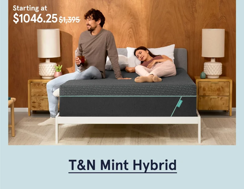 T&N Mint Hybrid