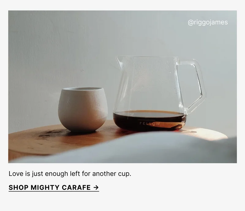 Shop Mighty Carafe