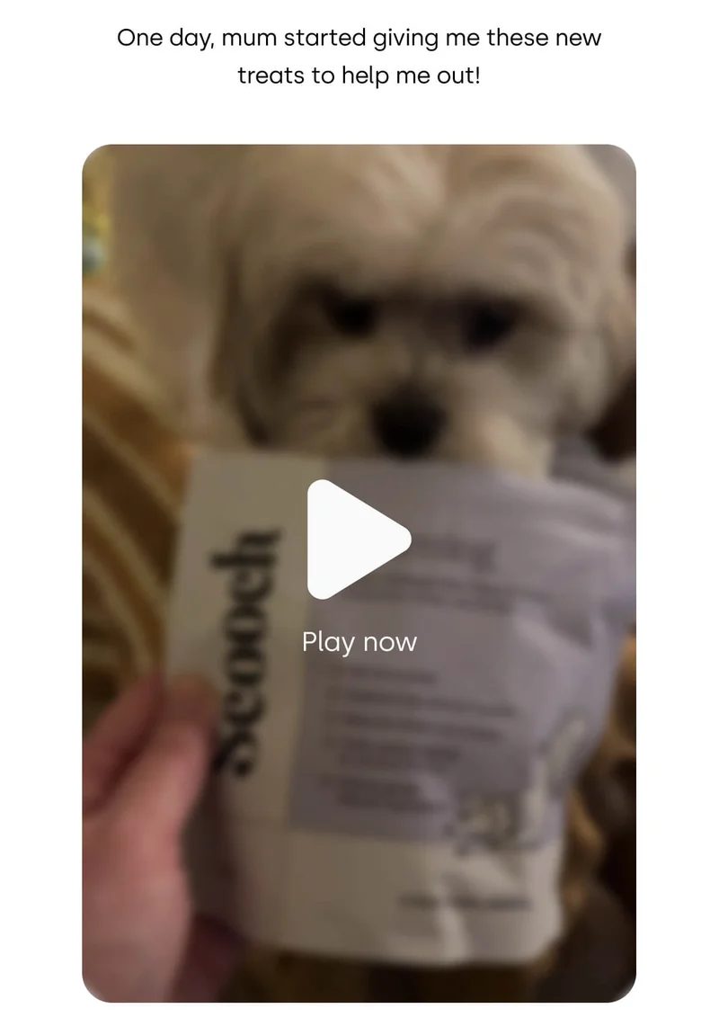 One day, mum started giving me these new treats to help me out!