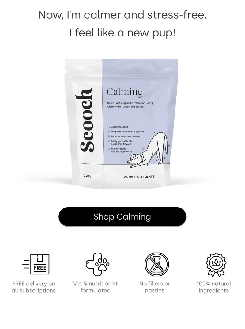 Now, I’m calmer and stress-free. I feel like a new pup! - Shop Calming