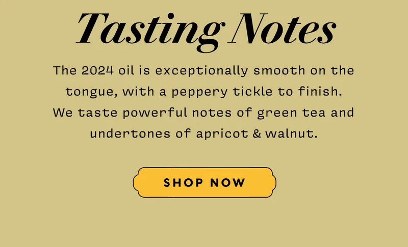 Tasting Notes   The 2024 oil is exceptionally smooth on the tongue, with a peppery tickle to finish.  We taste powerful notes of green tea and undertones of apricot & walnut.   SHOP NOW