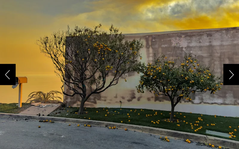 Two orange trees remain amid the destruction along the Pacific Coast Highway.