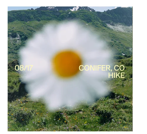 Conifer Hike