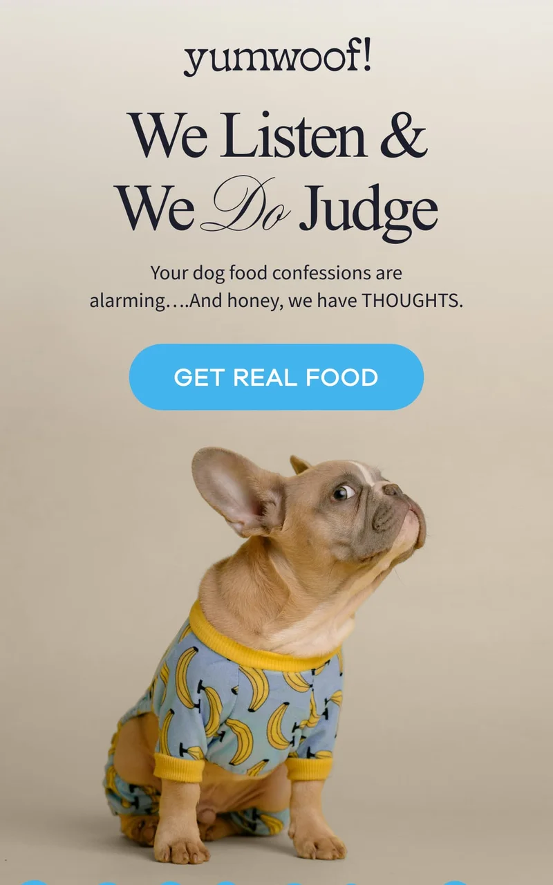 yumwoof! | We Listen & We Do Judge | Your dog food confessions are alarming….And honey, we have THOUGHTS. | GET REAL FOOD