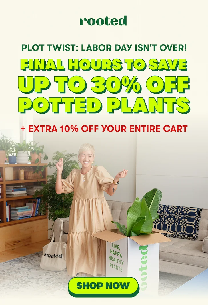 shop the labor day sale