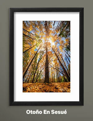 Otoño En Sesué by Carlos Cremades